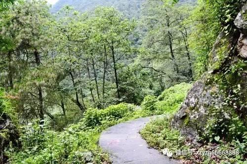 莱芜老年卡办理年龄游戏画面