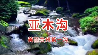 月光影视