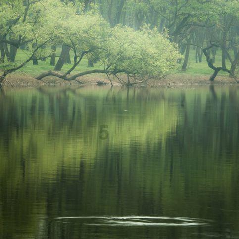 逃离拇指山地