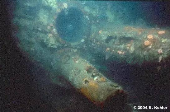 意大利威尼斯狂欢节开幕，“贡多拉”梦幻巡游