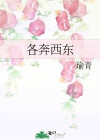 驾驶与准驾车型不符的车辆和无证驾驶可以并罚吗？