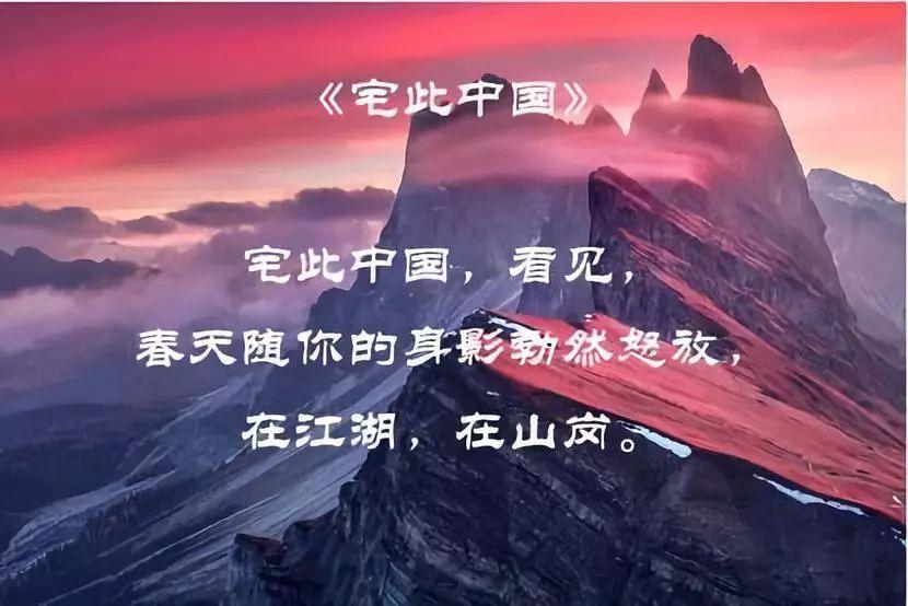 “航线” 告急！大量候鸟飞临中牟越冬