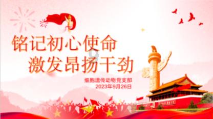 四分之三减去十五分之十七等于几分之几？游戏画面