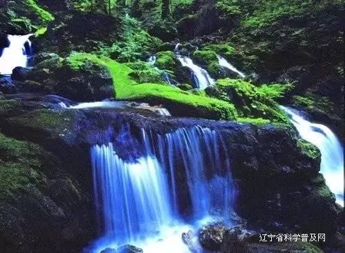 次元喵