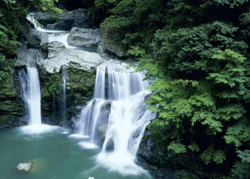 针织裙
