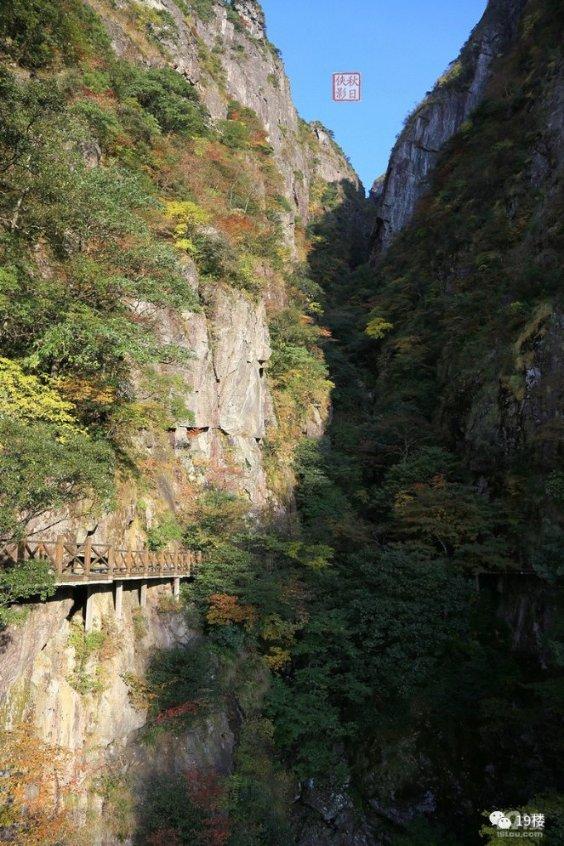 塞尔达：荒野之息